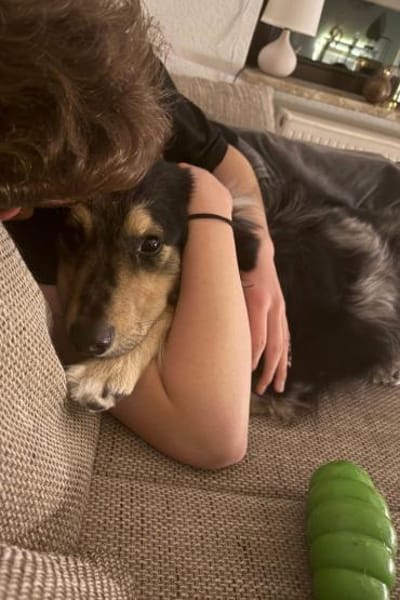 Sensibler Jungrüde ♥BALU♥ in 59174 Kamen