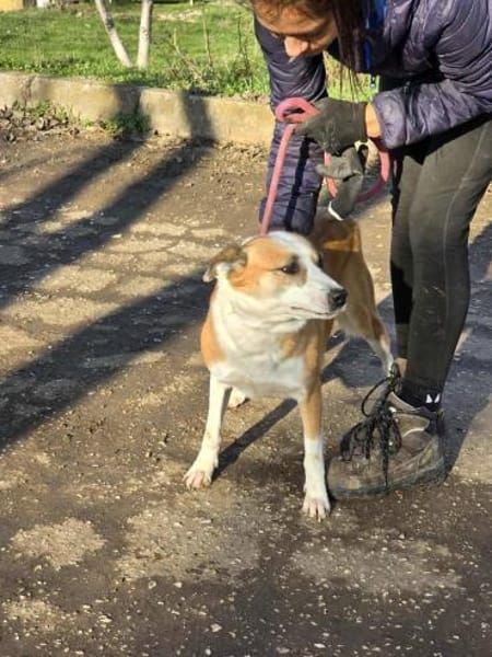 DARCY ist ein sanftes ruhiges Mädchen♥