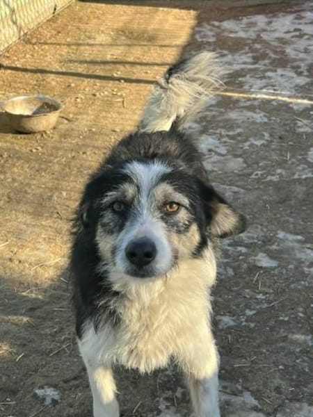 Der freundliche Filip sucht sein Glück!