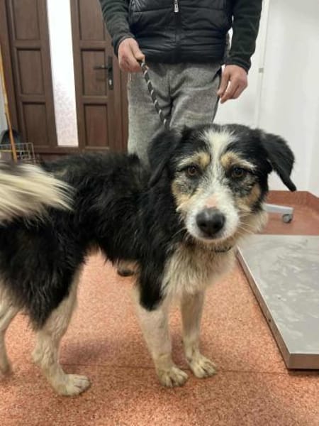 Der freundliche Filip sucht sein Glück!