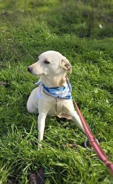 Pamuk einfach nur lieb