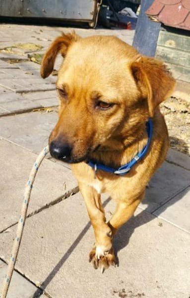 Morzi möchte endlich geliebt werden