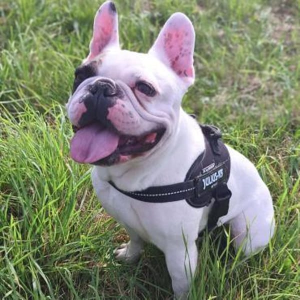 Deejay - ist genügsam