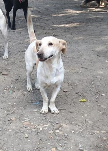 Dora ist ein Sonnenschein