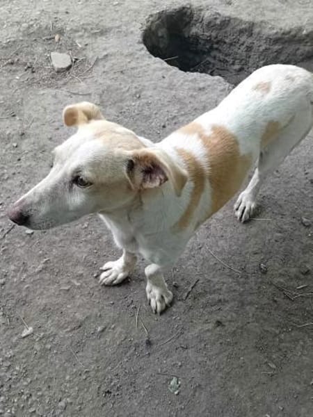 Dora ist ein Sonnenschein