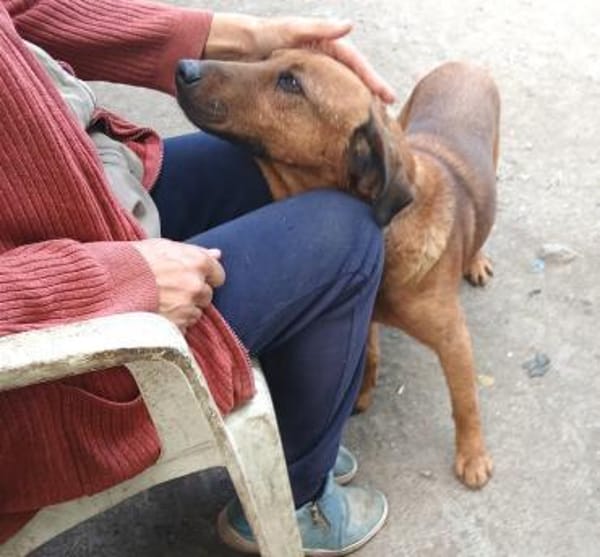 Liebenswerter Senior sucht Nähe