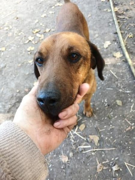 Liebenswerter Senior sucht Nähe