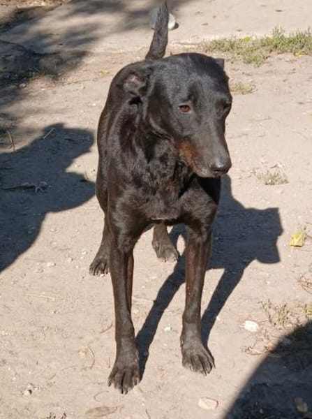 Verschmuste Vanda sucht euch