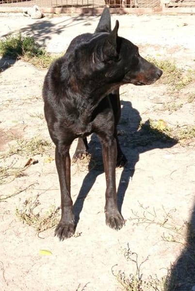 Verschmuste Vanda sucht euch