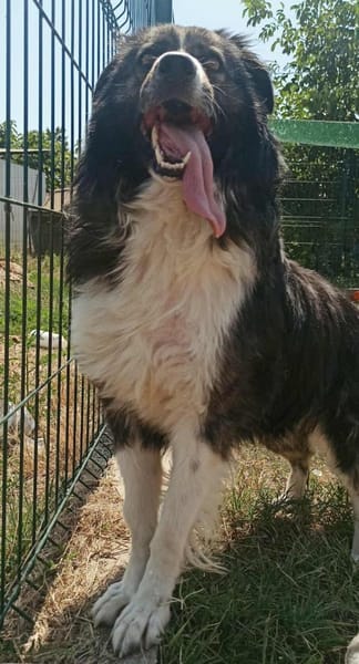 Maci hatte es nicht einfach