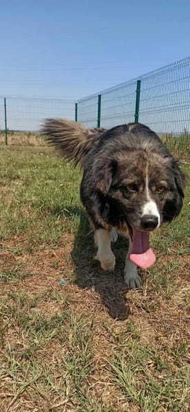 Maci hatte es nicht einfach