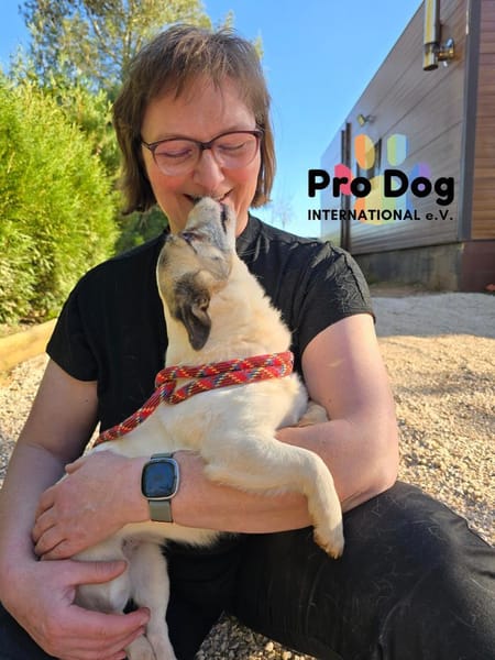 Tilda auf Pflegestelle