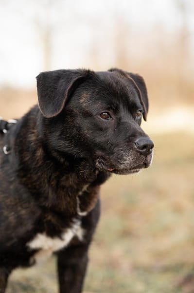 Neymar will endlich ankommen!