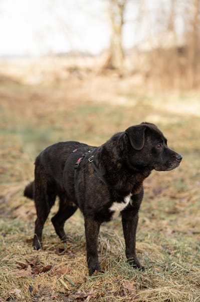 Neymar will endlich ankommen!