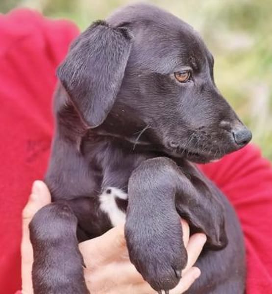 die bezaubernde Jinny 🥰