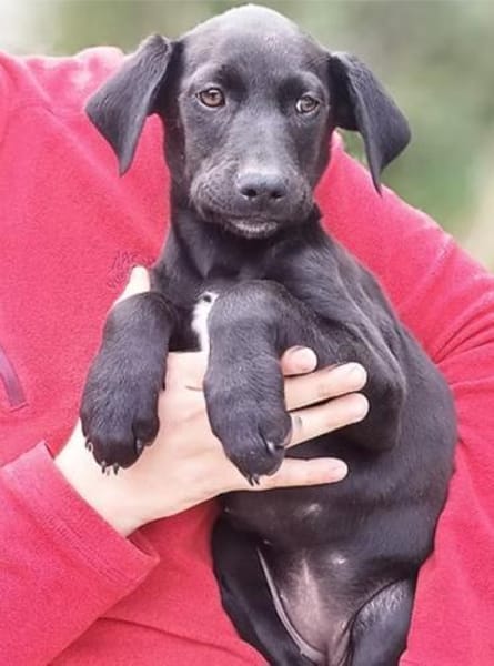 die bezaubernde Jinny 🥰