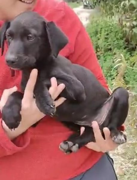 die bezaubernde Jinny 🥰