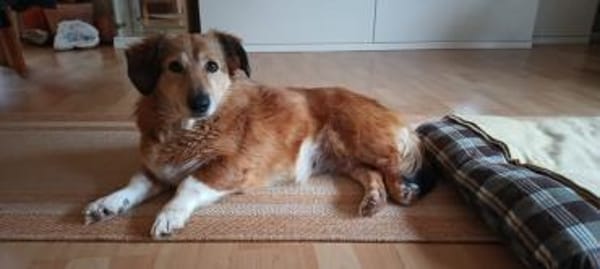 kleine süße Vicky auf PS in 90562