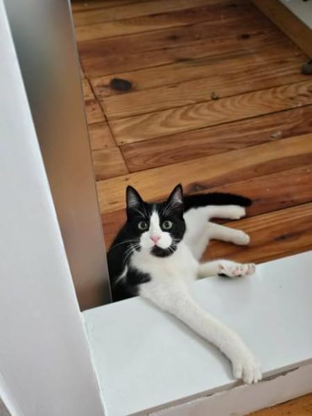 Pichon und Melchor warten auf Dich