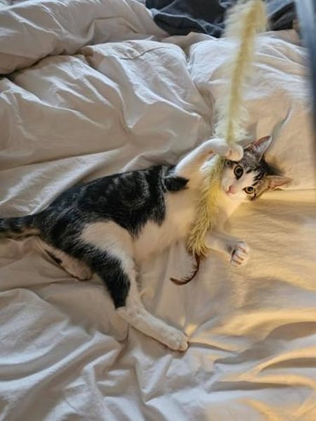 Pichon und Melchor warten auf Dich