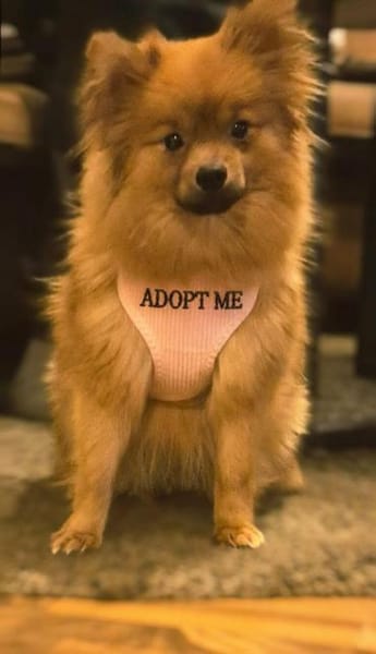 Sensible Nala braucht ihre Zeit