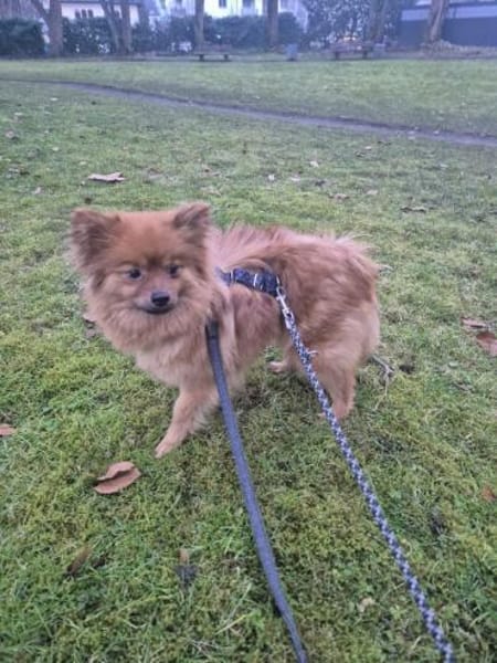 Sensible Nala braucht ihre Zeit