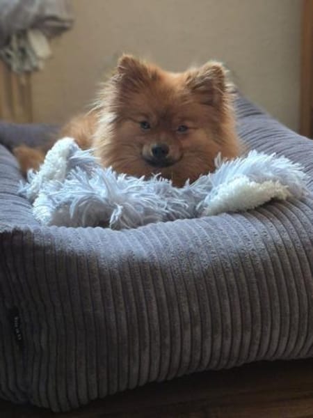 Sensible Nala braucht ihre Zeit