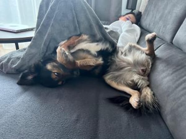 Punchy  aktives und sportliches Mädel