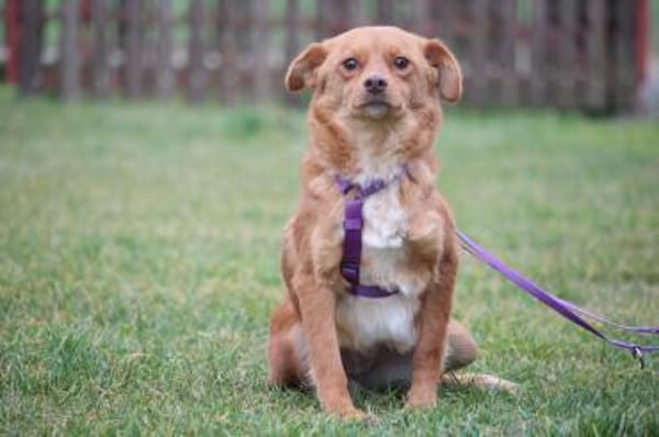 Luminara unsere kleine sensible...