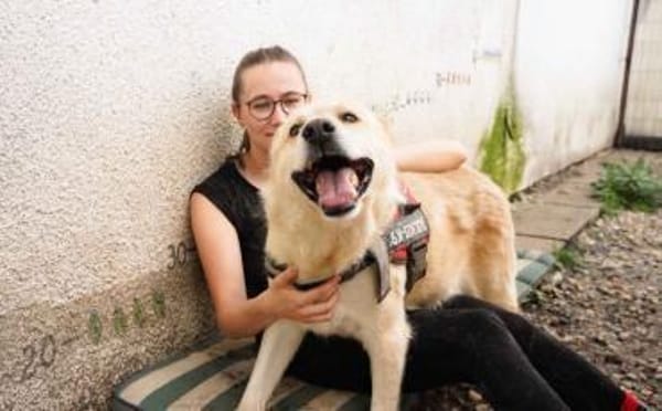 Intelligenter Michel sucht sein Zuhause