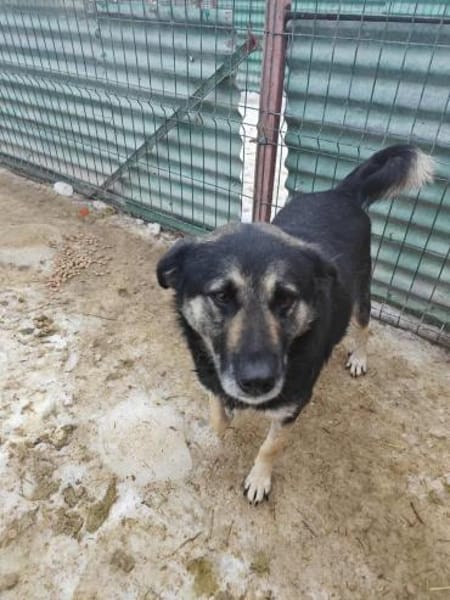 Ruhige und entspannte Bounty sucht Dich!