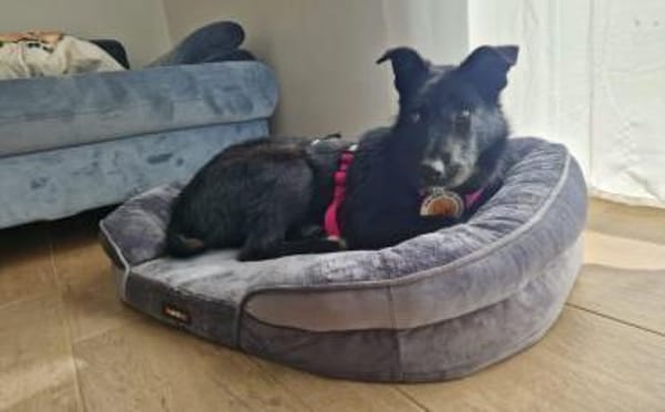 Mindy sucht ihr Glück