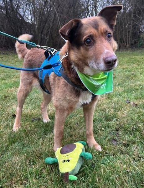 Opa Milka mit jugendlichen Herzen