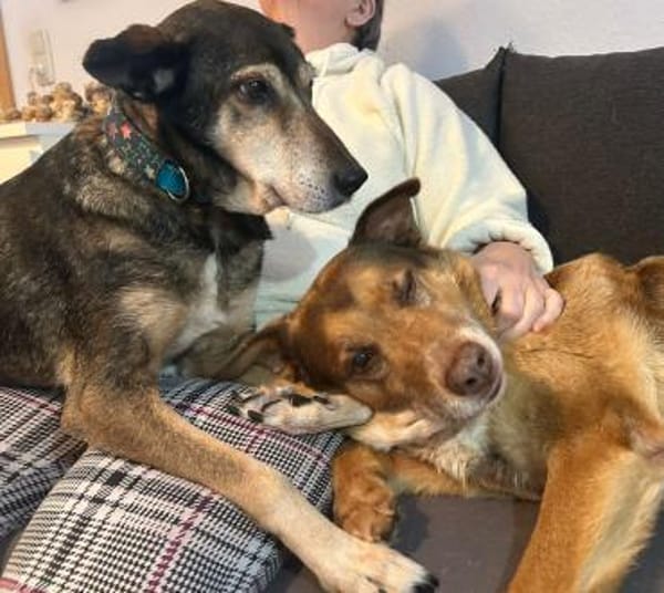 Opa Milka mit jugendlichen Herzen