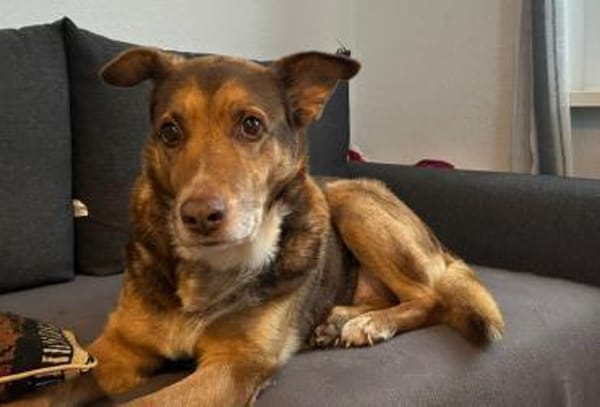 Opa Milka mit jugendlichen Herzen