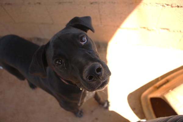 EDUARDO  (Puertollano)