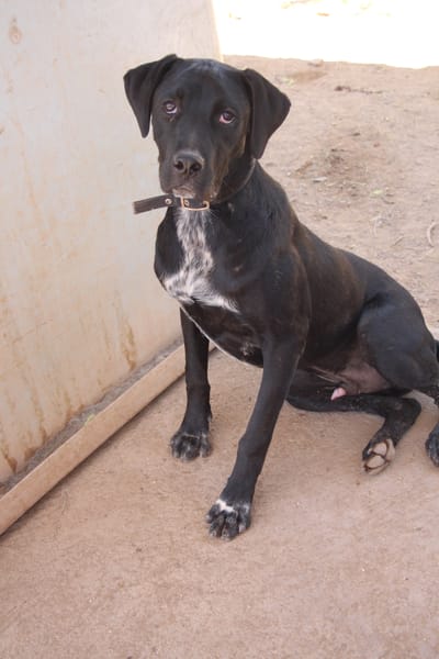 EDUARDO  (Puertollano)