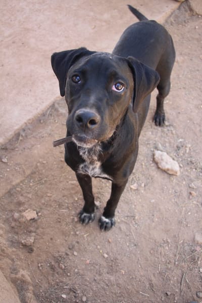 EDUARDO  (Puertollano)