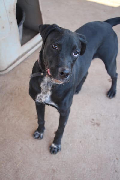 EDUARDO  (Puertollano)