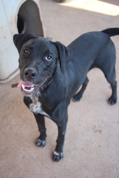 EDUARDO  (Puertollano)