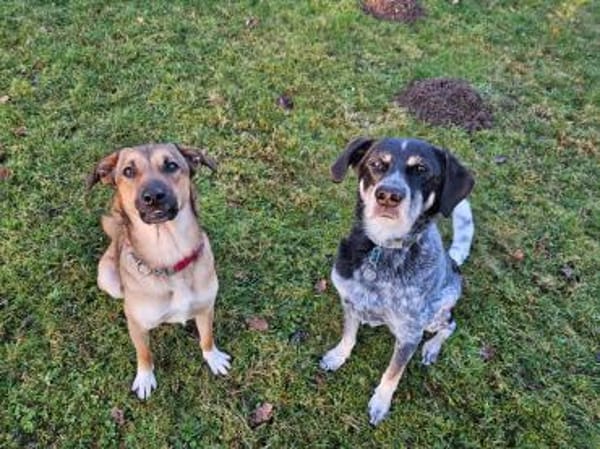 Malou sucht das große Glück