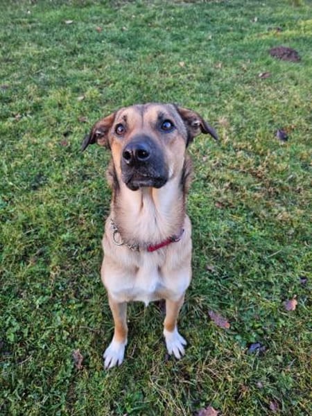 Malou sucht das große Glück