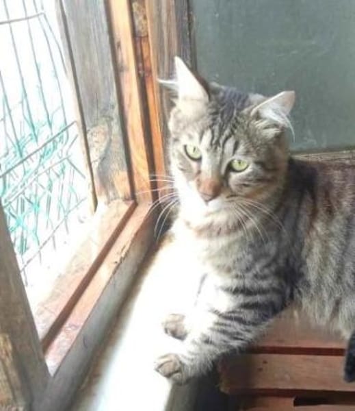 TOPRAK & CAKIR - suchen dringend......