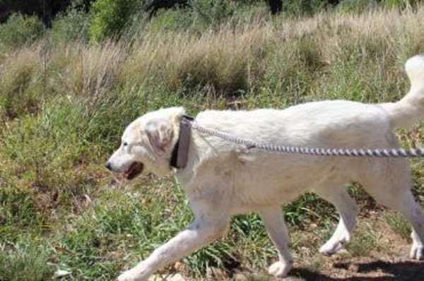 Snow kann gern persönlich besucht werden