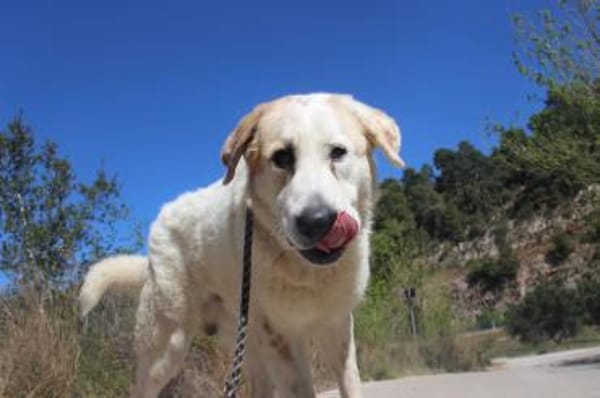 Snow kann gern persönlich besucht werden