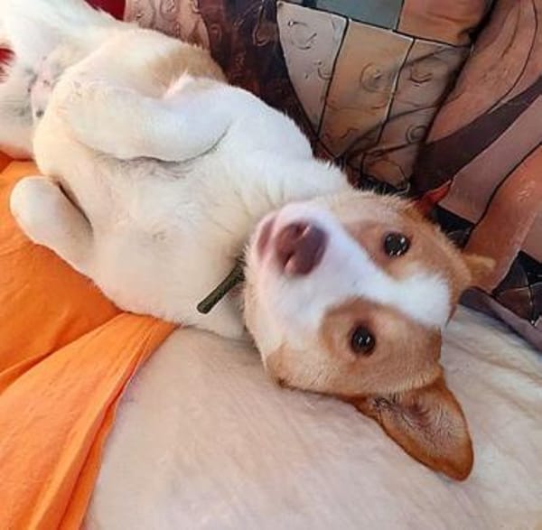 Minikleine Antonia sucht ein Zuhause