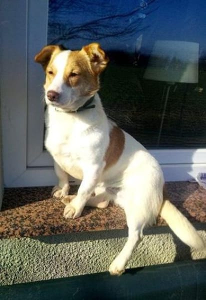 Minikleine Antonia sucht ein Zuhause