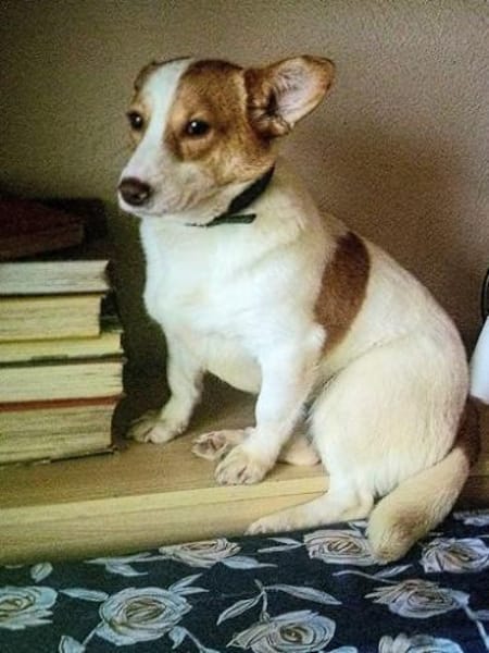 Minikleine Antonia sucht ein Zuhause