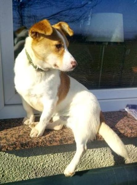 Minikleine Antonia sucht ein Zuhause