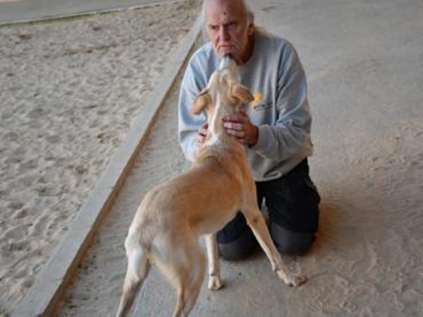 JayJay möchte Sie durchs Leben begleiten